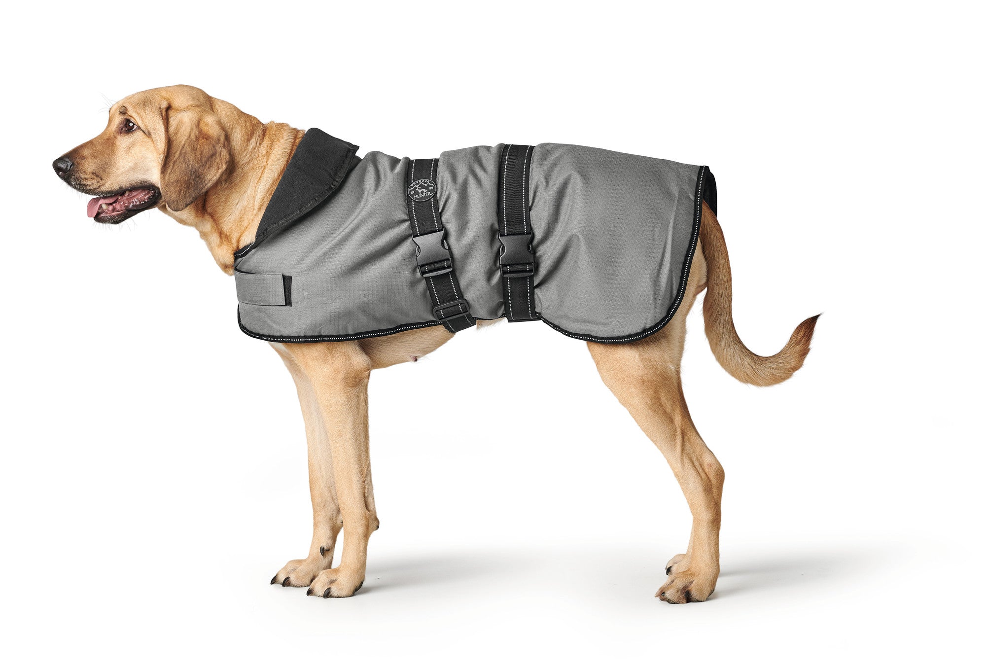 Hunter best sale dog coat