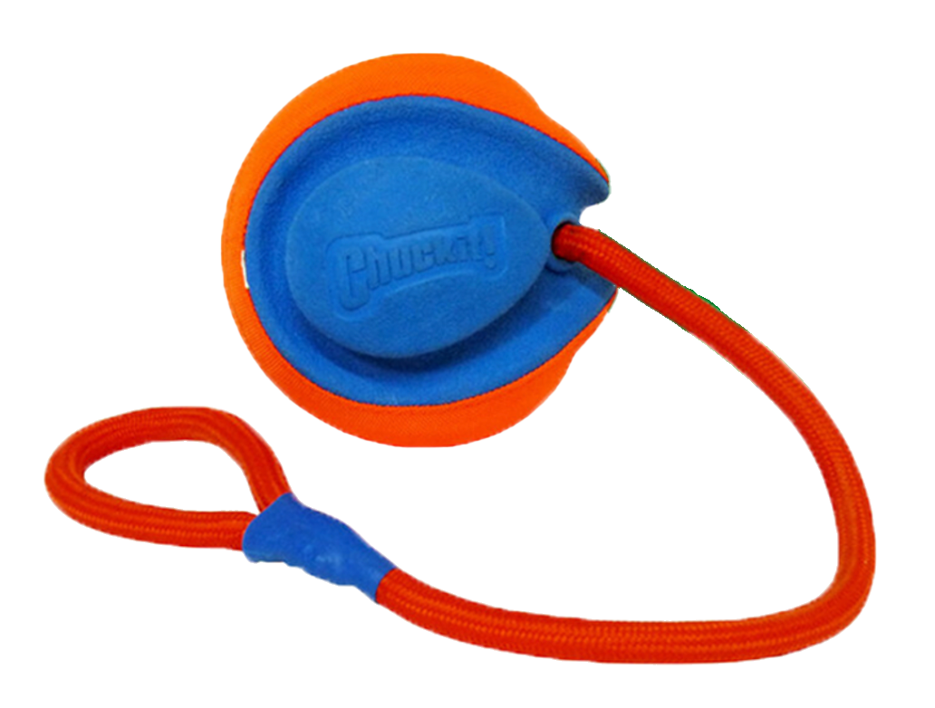 Rope Fetch by Chuckit Animalian Nature
