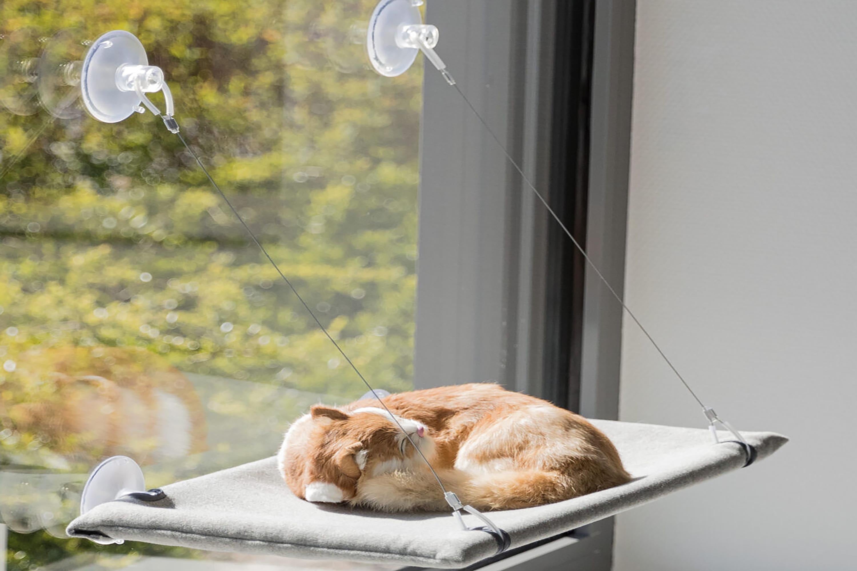 Window Platform for cats by Trixie – Animalian Nature